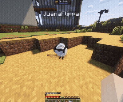 Minecraft Screenshot Juanaflippa GIF