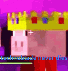 Minecraft Technoblade In Close Up Look GIF