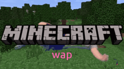 Minecraft Wap Dance GIF