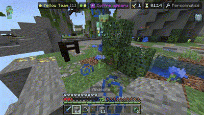 Minecraft Yellow Team Screenshot GIF