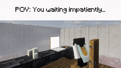 Minecraft You Waiting Impatiently GIF