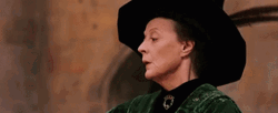 Minerva McGonagall Harry Potter Movie GIF