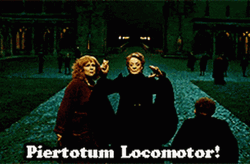 Minerva McGonagall Performing Magic GIF