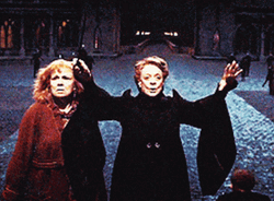 Minerva McGonagall Summoning Warriors Harry Potter GIF