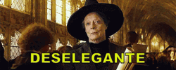 Minerva McGonagall Upset Expression Harry Potter GIF