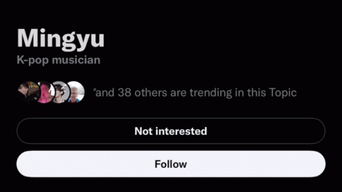 Mingyu K-Pop Musician Is Being Followed By 38 Other People GIF