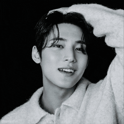 Mingyu Waduh GIF