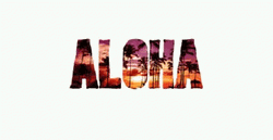 Minimalist Aloha Beach View GIF