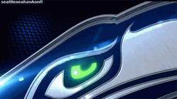 Minimalist Blue Seattle Seahawks Logo GIF