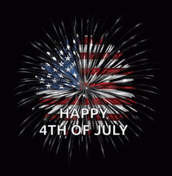 Minimalist Firework Happy Fourth Of July GIF