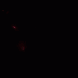 Minimalist Star Wars Characters And Robots GIF