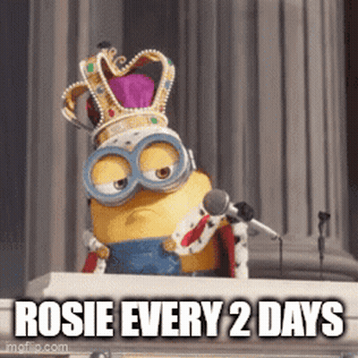 Minion King With Rosie Every 2 Days GIF