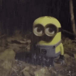 Minion Rain GIF