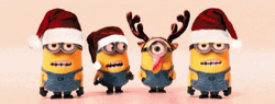 Minions Having Christmas Party GIF