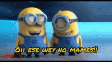 Minions Kevin And Stuart Laughing No Mames  GIF
