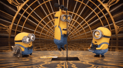 Minions Kevin With Carl And Bob GIF