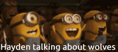 Minions Smiling With Text Hayden Talking About Wolves GIF