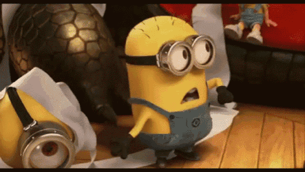 Minions - What GIF