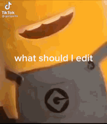 Minions What Should I Edit GIF