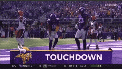 Minnesota Vikings Vs San Francisco 49Ers Poster GIF