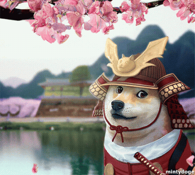 MintyDoge Samurai Dog GIF