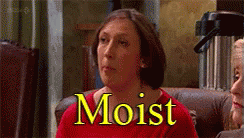 Miranda Hart Iconic Expression Moist GIF