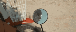Mirror GIF