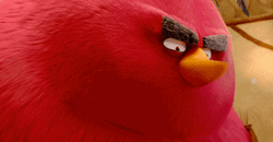Mischievous Angry Birds Terence Staring  GIF