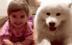 Mischievous Baby And Dog GIF