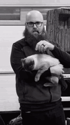 Mischievous Man Petting Cat GIF