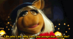 Miss Piggy Accept Me Now  GIF