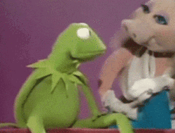 Miss Piggy And Kermit GIF