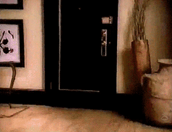 Miss Piggy Broke The Door GIF