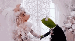 Miss Piggy Kermit 50 Years Ago Wedding GIF