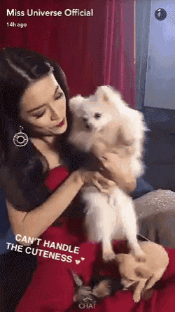 Miss Universe Miss Universe Vietnam GIF