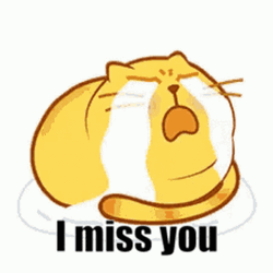 Miss You Crying Cat