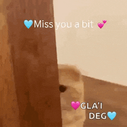 Miss You GIF