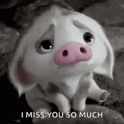 Miss You Sad Pua Pig