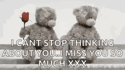 Miss You So Much Teddy Bear Lover GIF