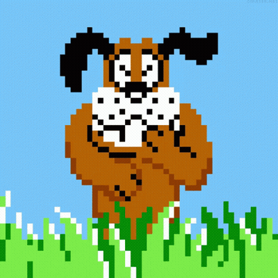 Miss Your Shot Duck Hunt GIF