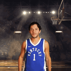 Missed Shot That Brick GIF