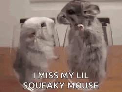 Missing My Lil Squeaky Mouse GIF