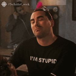 Mission Accomplished Im Stupid  GIF