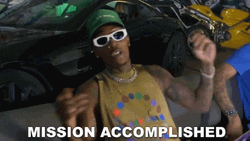 Mission Accomplished GIF