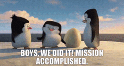 Mission Accomplished Penguins Of Madagascar GIF