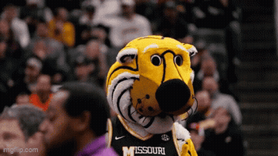 Missouri Mascot In Front Of Crowd At Basketball Game GIF