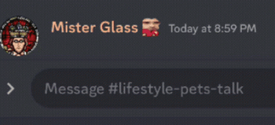 Mister Glass Conversation With Frog GIF