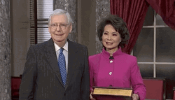 Mitch McConnell Elaine Chao Pose Meme GIF