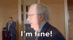 Mitch McConnell Is Fine Meme GIF