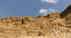 Mitch Mcconnell Turtle Fell Off The Cliff GIF
